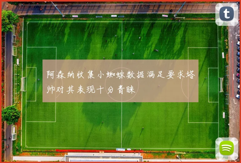 阿森纳收集小蜘蛛数据满足要求塔帅对其表现十分青睐